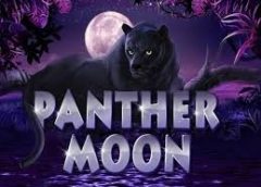 Panduan Mudah Menang di Panther Moon Mega888: Rahsia Memenangi Slot Berkesan