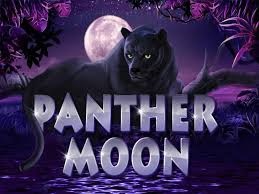 mega888 panther moon